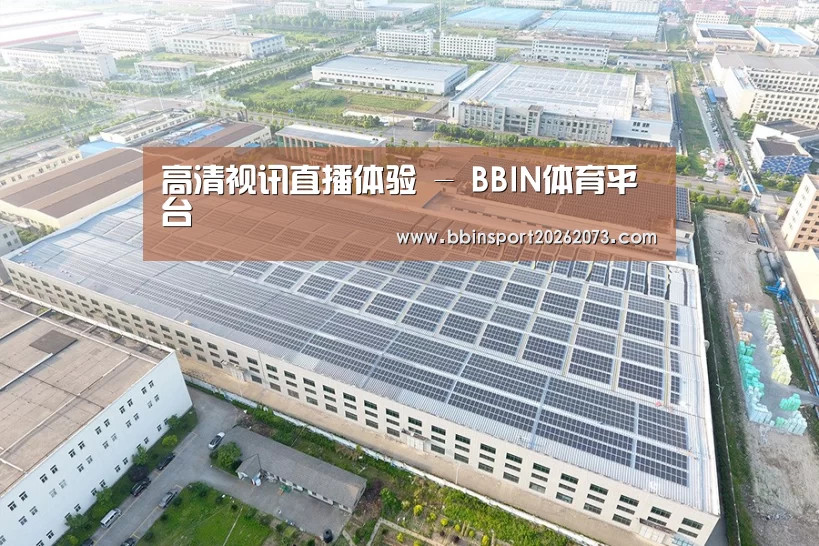 案例展示一