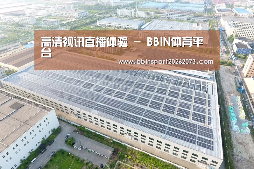 案例展示二