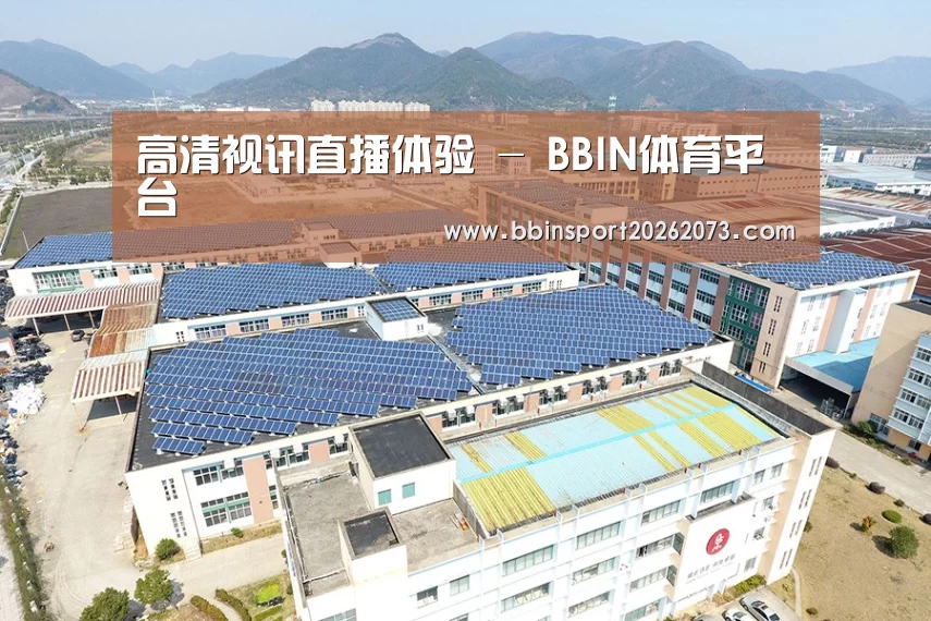 案例展示四