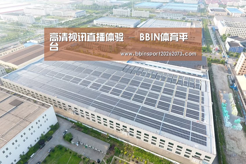 案例展示三