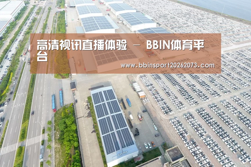 案例展示四