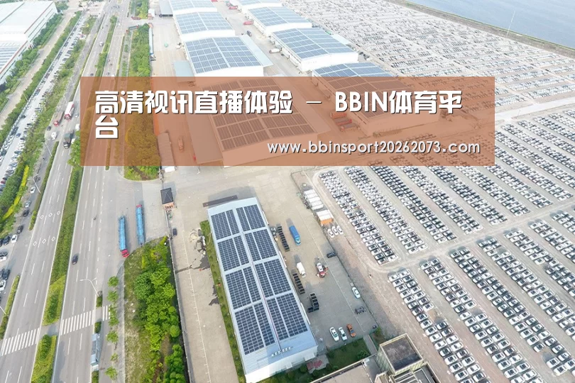 案例展示三
