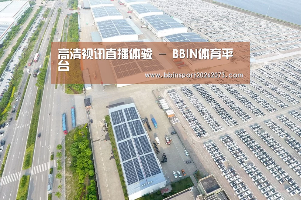 案例展示二