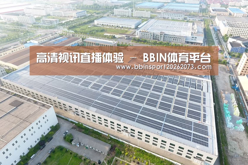 案例展示四