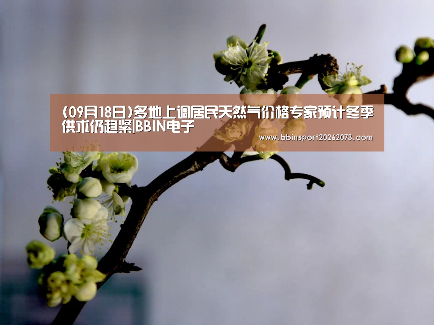 (09月18日)多地上调居民天然气价格专家预计冬季供求仍趋紧|BBIN电子(图1) BBIN棋牌