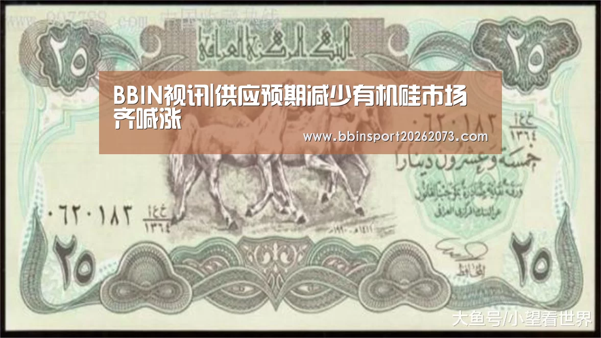 BBIN视讯|供应预期减少有机硅市场齐喊涨(图1) BBIN真人