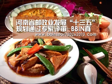 河南省邮政业发展“十三五”规划通过专家评审-BBIN真人(图2) BBIN真人