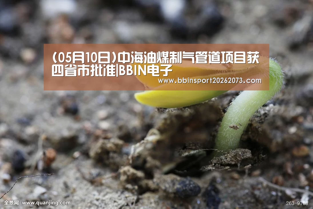 (05月10日)中海油煤制气管道项目获四省市批准|BBIN电子(图2) BBIN真人