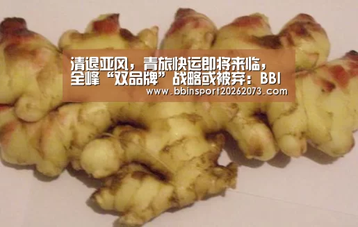 清退亚风,青旅快运即将来临,全峰“双品牌”战略或被弃:BBIN棋牌(图1) BBIN真人