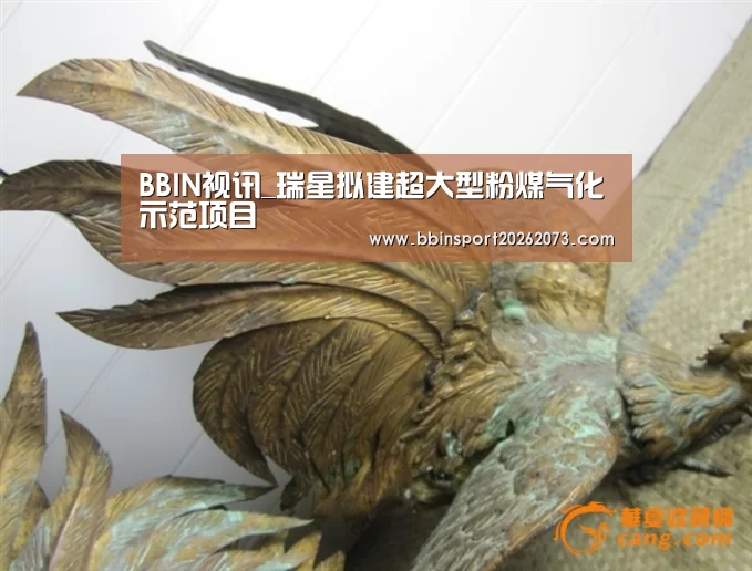 BBIN视讯_瑞星拟建超大型粉煤气化示范项目(图1) BBIN真人