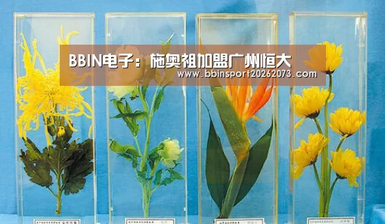 BBIN电子:施奥祖加盟广州恒大(图1) BBIN棋牌