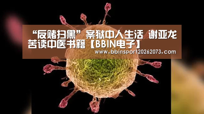 BBIN视讯