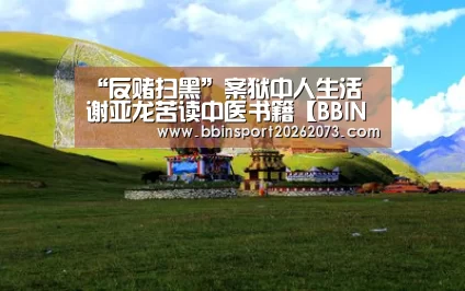 BBIN视讯